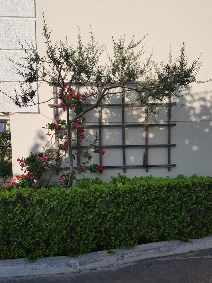 شقة Schinas Apts. Tolofón المظهر الخارجي الصورة